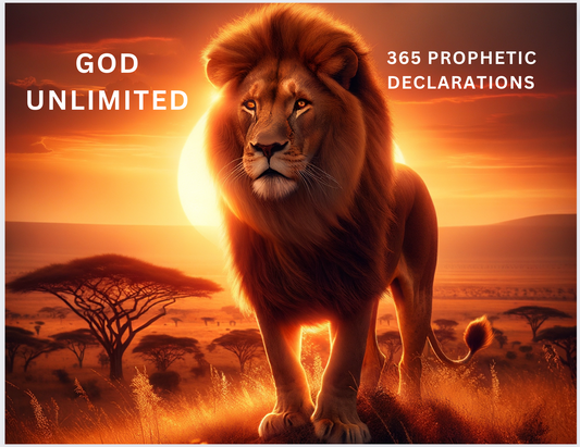 365 Prophetic Declarations!